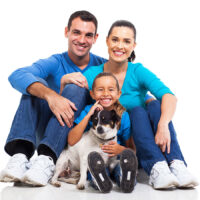 qode interactive strata